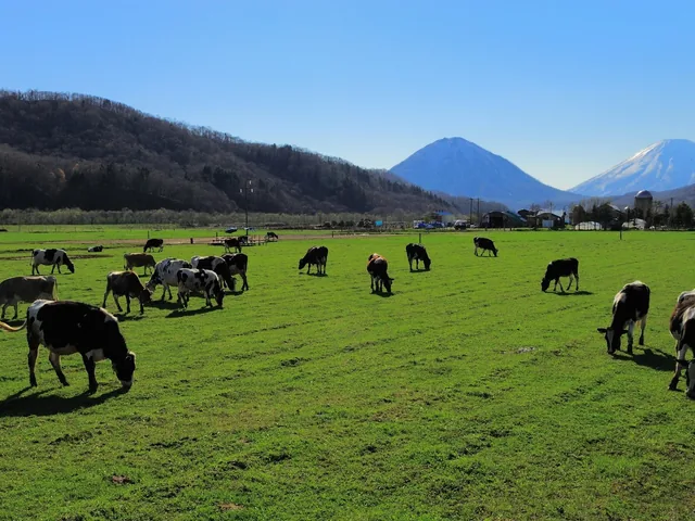 Captura de datos en campo agro